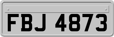 FBJ4873