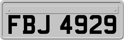 FBJ4929