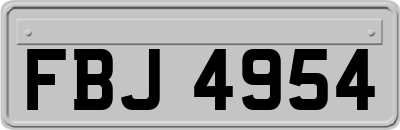 FBJ4954