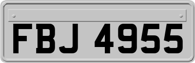 FBJ4955