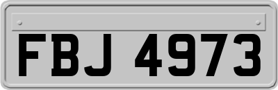 FBJ4973