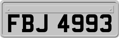 FBJ4993