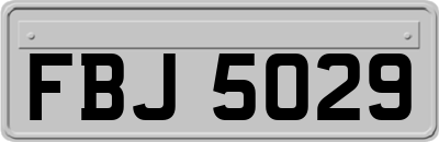 FBJ5029