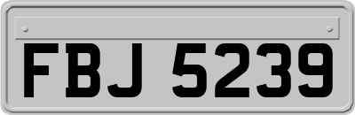 FBJ5239