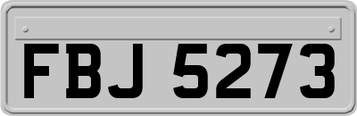 FBJ5273
