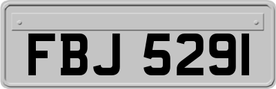 FBJ5291