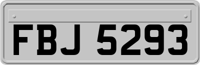 FBJ5293