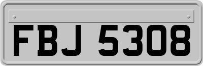 FBJ5308
