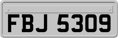 FBJ5309