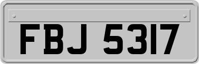 FBJ5317