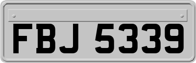 FBJ5339
