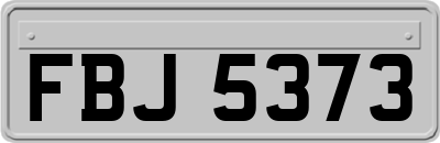 FBJ5373
