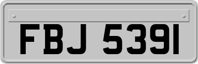 FBJ5391