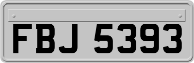FBJ5393