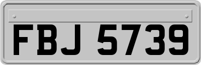 FBJ5739