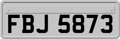 FBJ5873