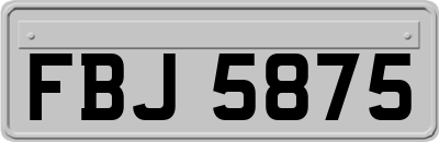 FBJ5875