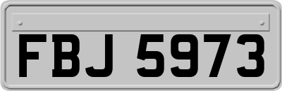 FBJ5973