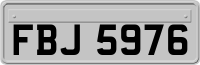 FBJ5976