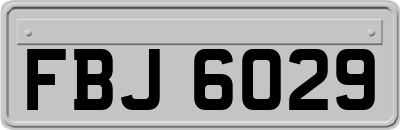 FBJ6029
