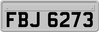FBJ6273