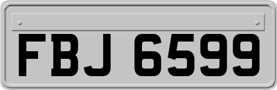 FBJ6599