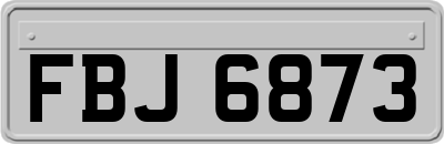 FBJ6873