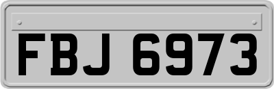 FBJ6973