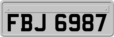 FBJ6987