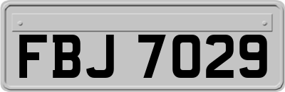 FBJ7029