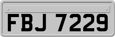 FBJ7229