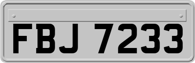 FBJ7233