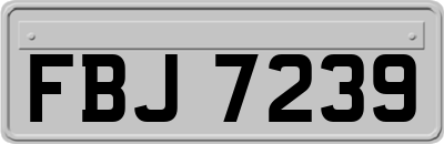 FBJ7239