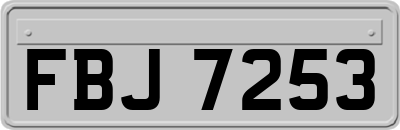 FBJ7253