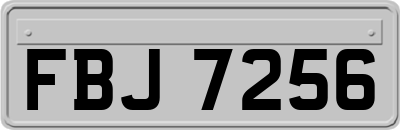 FBJ7256