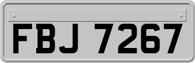 FBJ7267