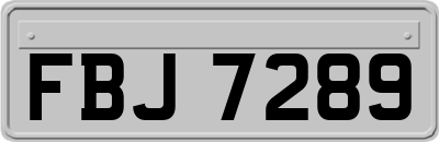 FBJ7289