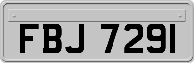 FBJ7291