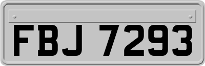 FBJ7293