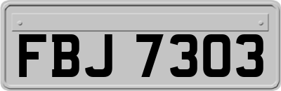 FBJ7303