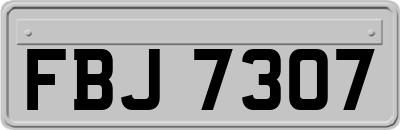 FBJ7307