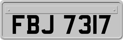 FBJ7317