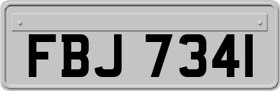 FBJ7341