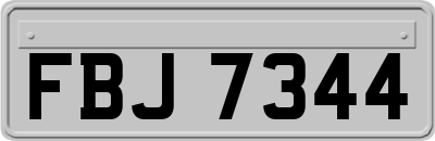 FBJ7344