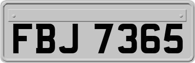 FBJ7365