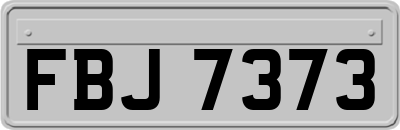 FBJ7373
