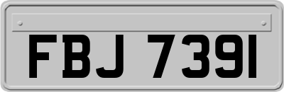 FBJ7391