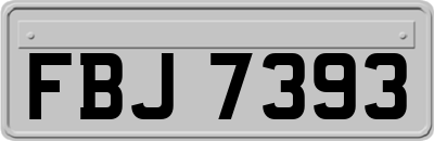 FBJ7393