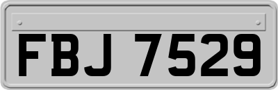 FBJ7529