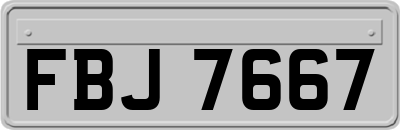 FBJ7667